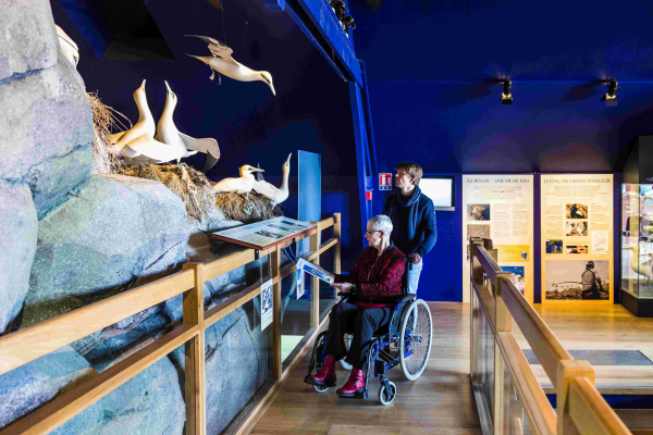 Personne en fauteuil roulant visitant le musée de la Station LPO